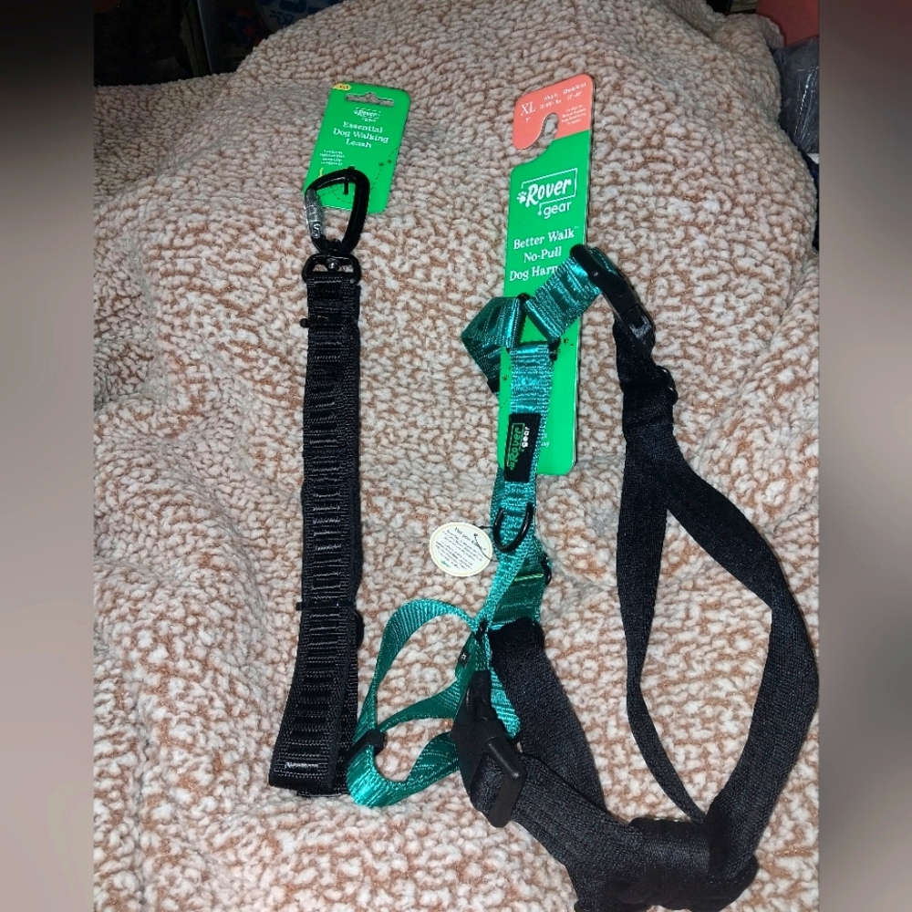 Rover Black and Teal Dog Harness and Black Leash Set . HARNESS XL